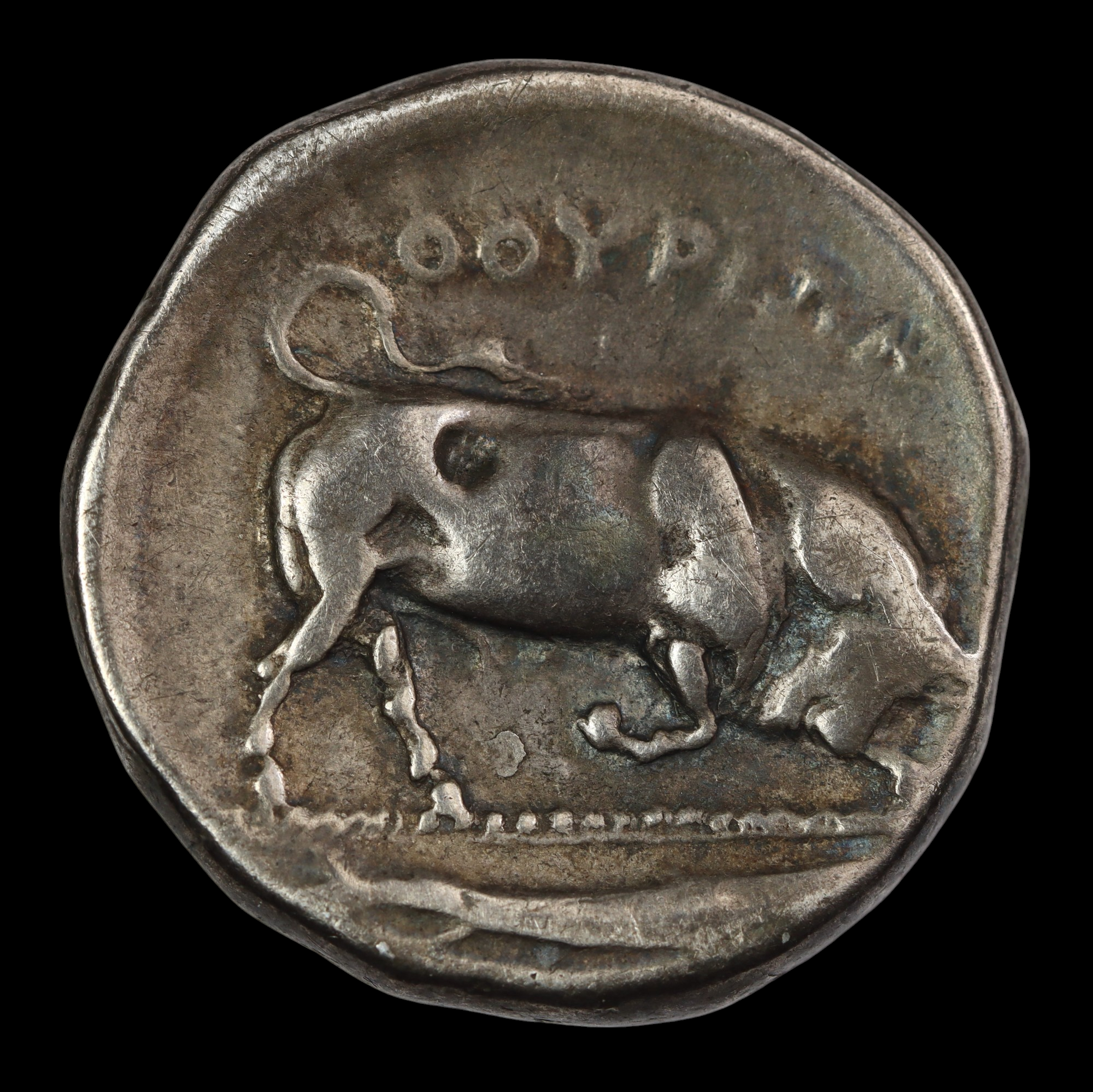 Greek ar nomos featuriing the butting bull symbol of power